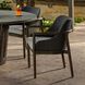 Chilton Pearl and Dark Gray Wash and Kona Outdoor Dining Chair