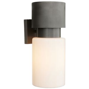Crawford 1 Light 16 inch Marine Grade Aged Iron Outdoor Sconce