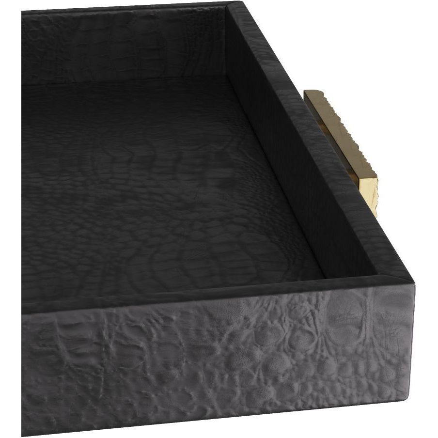 Gavin 24 X 2.5 inch Black Tray