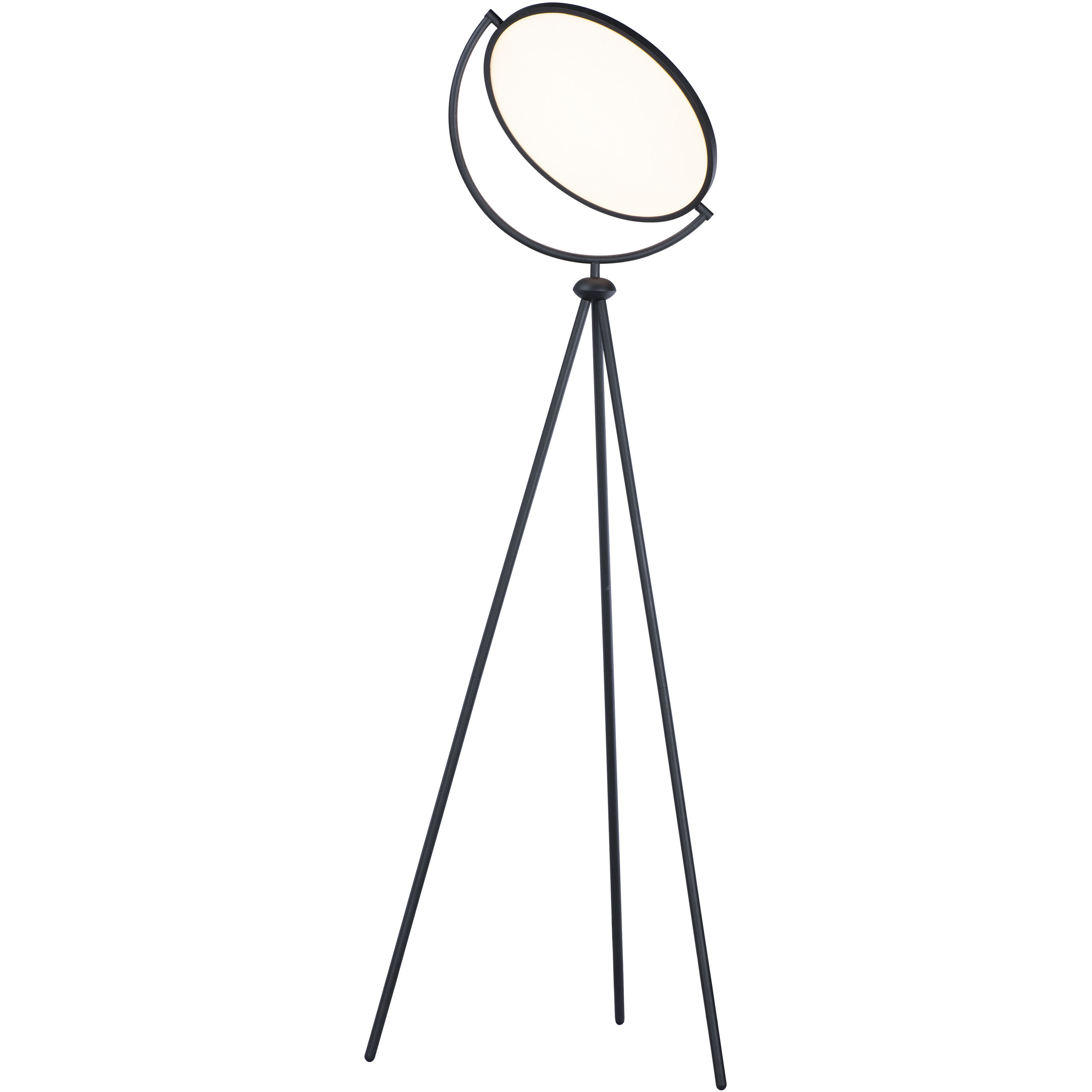 Paddle Floor Lamp