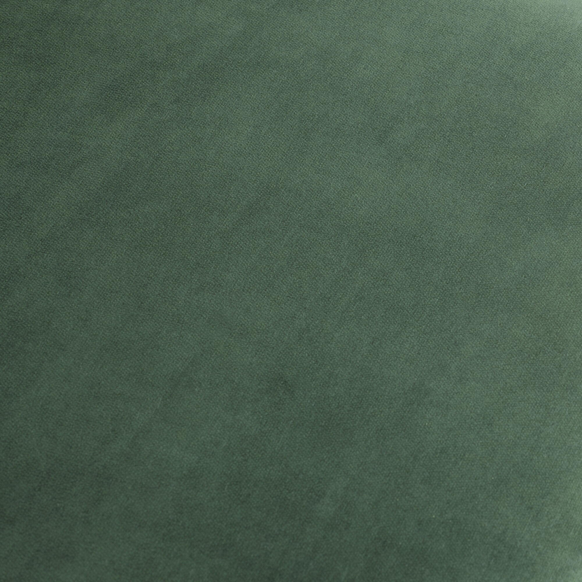 Poppy Forest and Champagne Chair