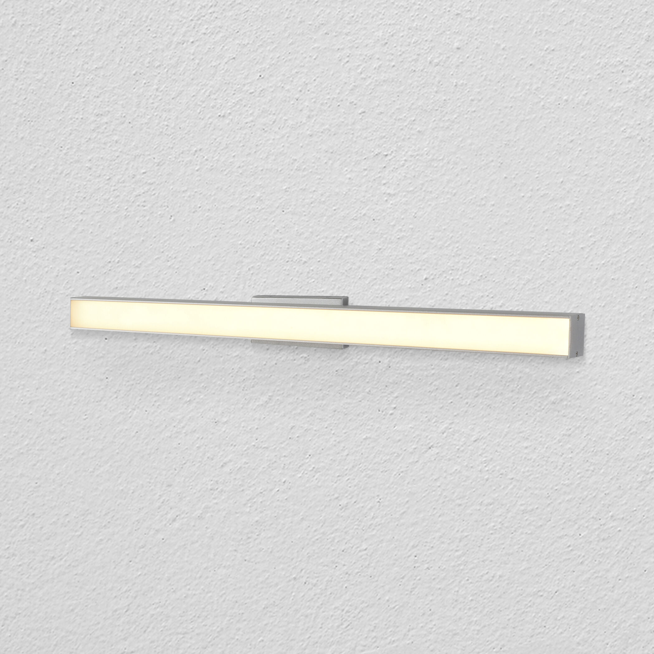 Procyon 24 inch Silver Bathroom Vanity Light Wall Light