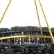 Zaria 47 inch Black Stained Chandelier Ceiling Light