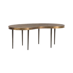 Sloan 44 X 17 inch Antique Brass/Natural Iron Cocktail Table