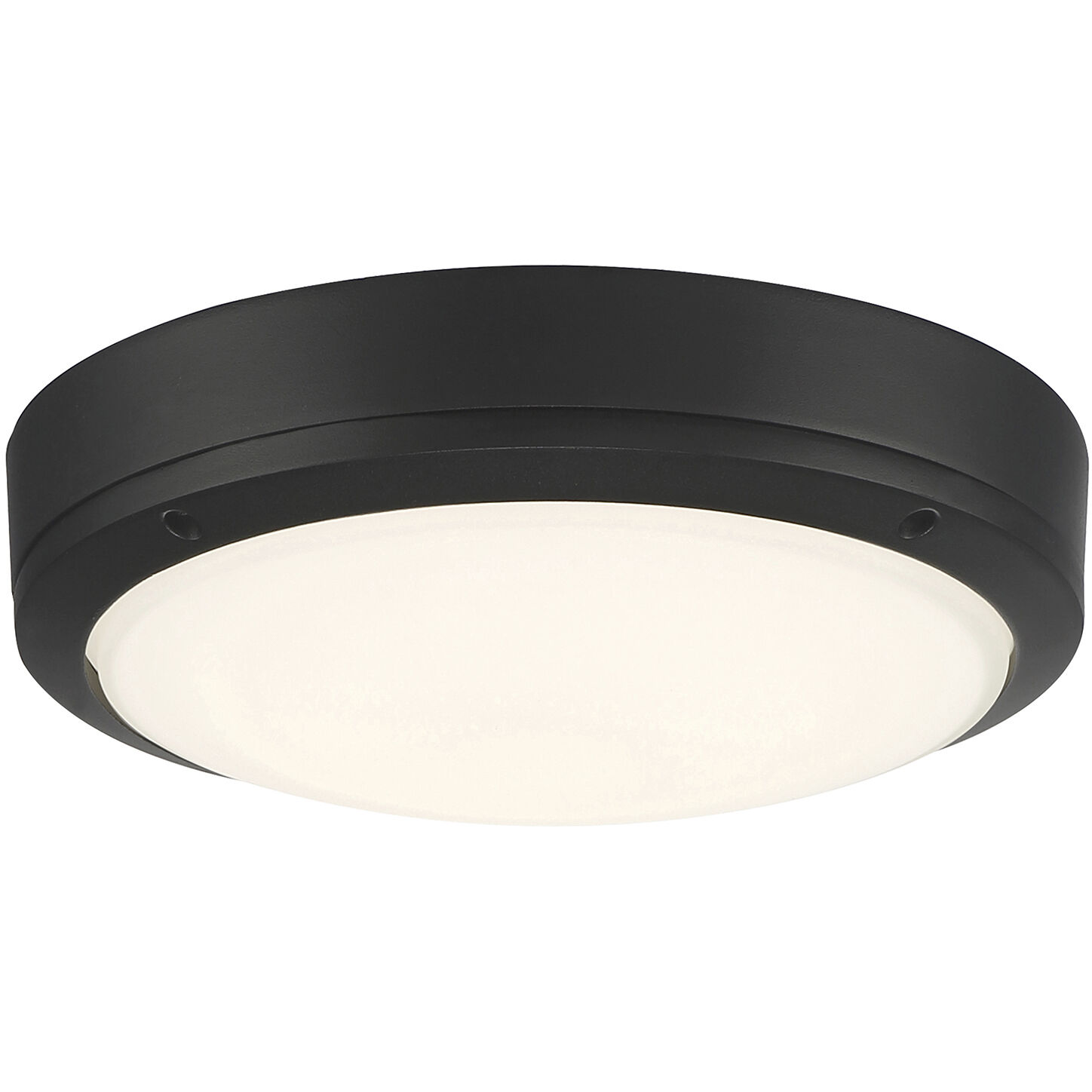 Rockaway 11.00 inch Outdoor Ceiling Light