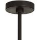 Lulu 4 Light 29 inch Bronze and Organic Frosted Chandelier Ceiling Light