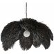 Ezra 1 Light Black Wash Pendant Ceiling Light