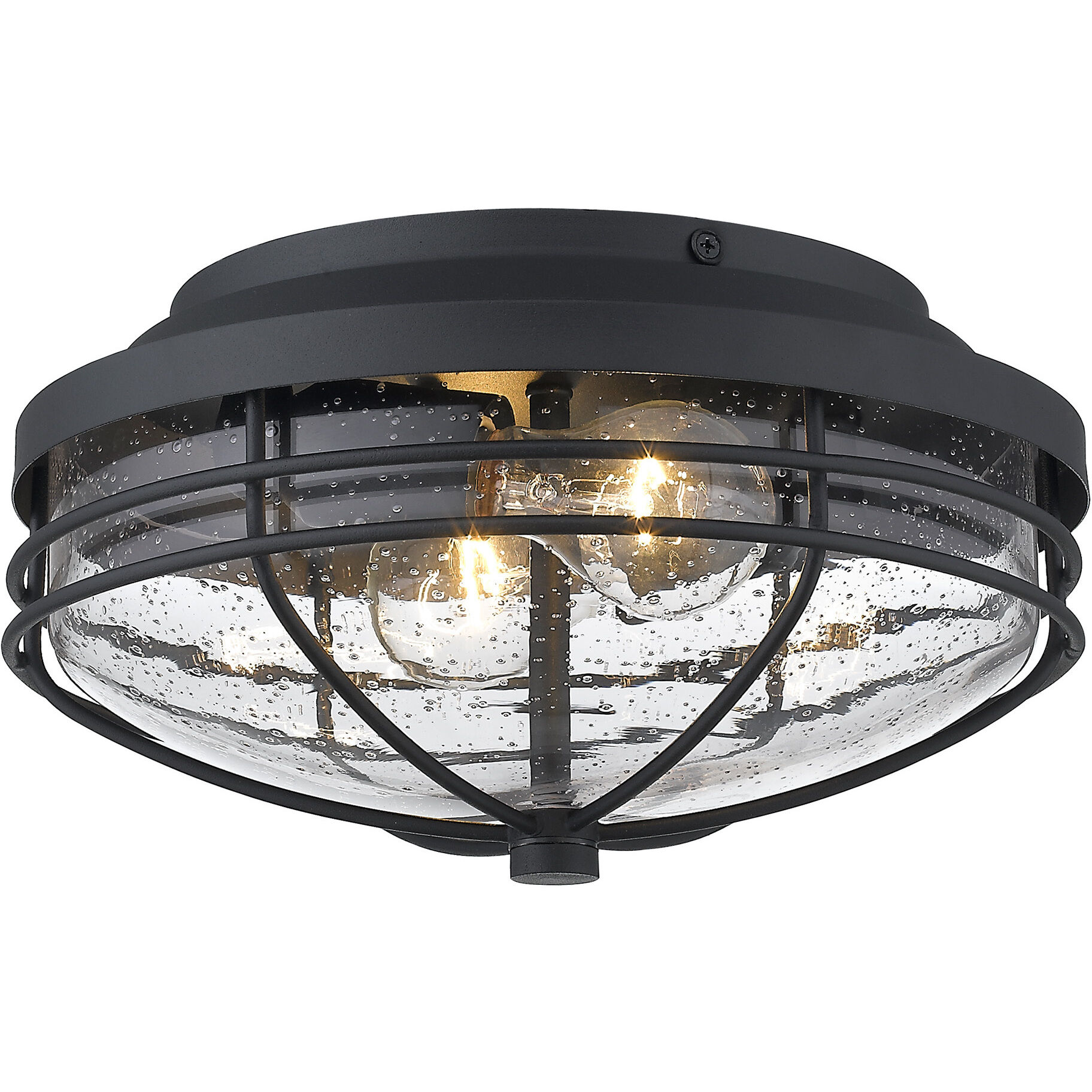 Seaport 2 Light 12.00 inch Outdoor Ceiling Light