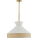 Malena 1 Light 20.5 inch White and Antique Brass Pendant Ceiling Light