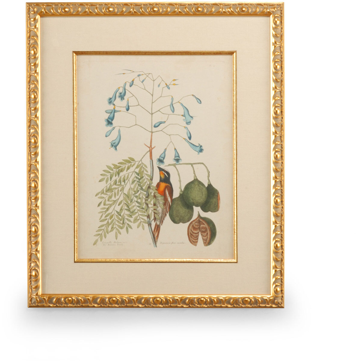 Chelsea House 26 X 22 inch Print