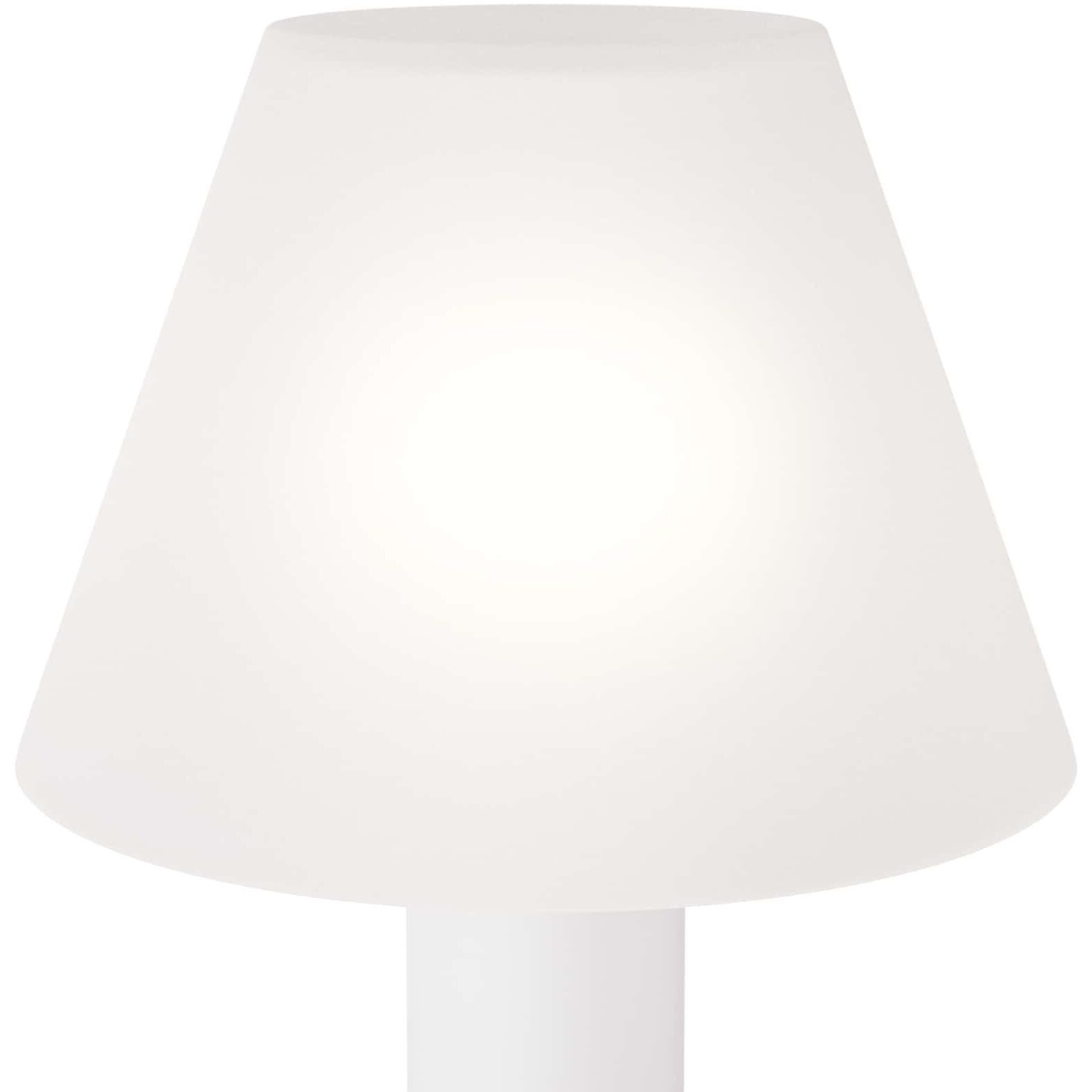 Vanhorne 23.5 inch 100.00 watt Opal Table Lamp Portable Light