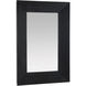 Coulter 60 X 40 inch Ebony Mirror