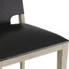 Burdock 18.5 inch Black Bar Stool