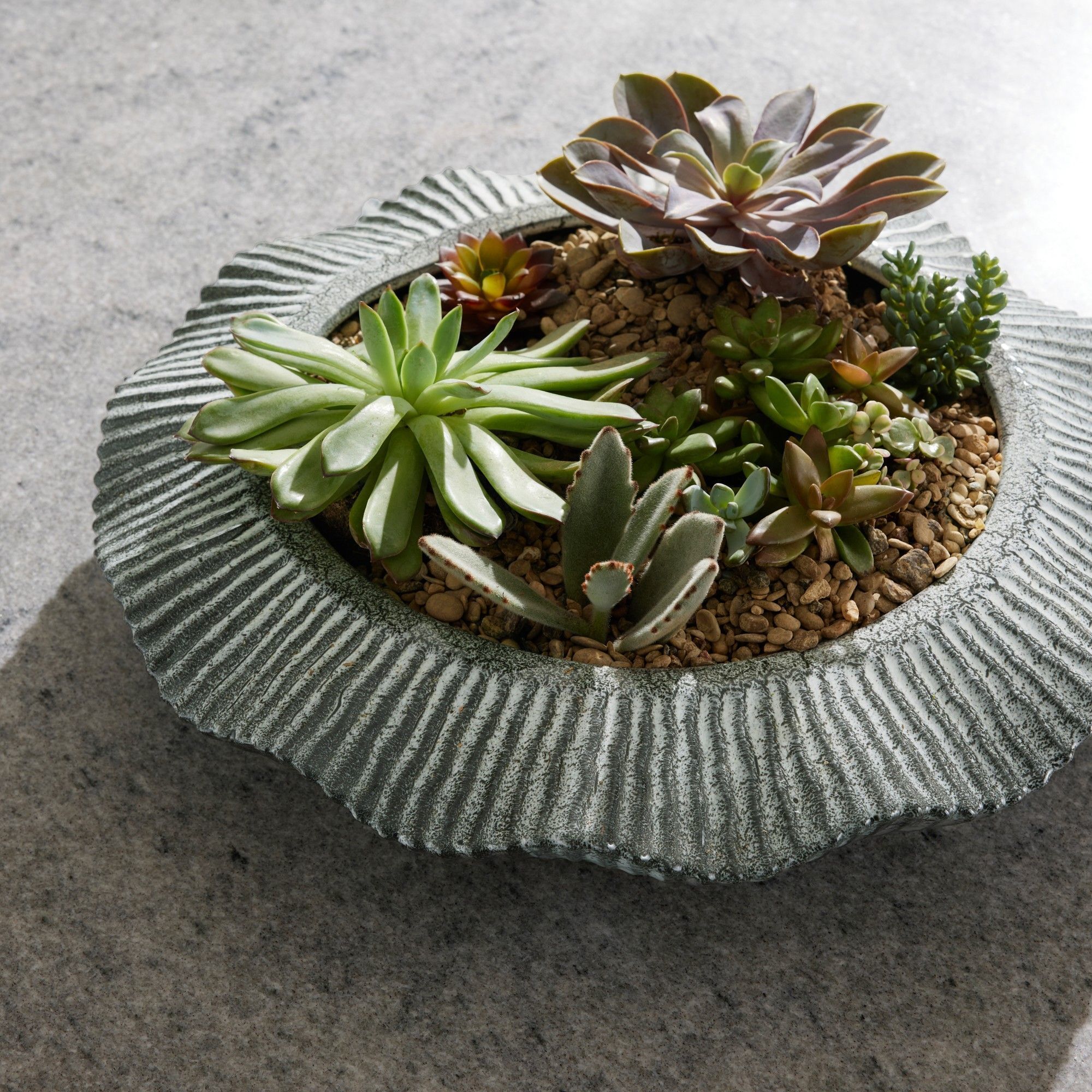 Escada Platinum Crackle Planter