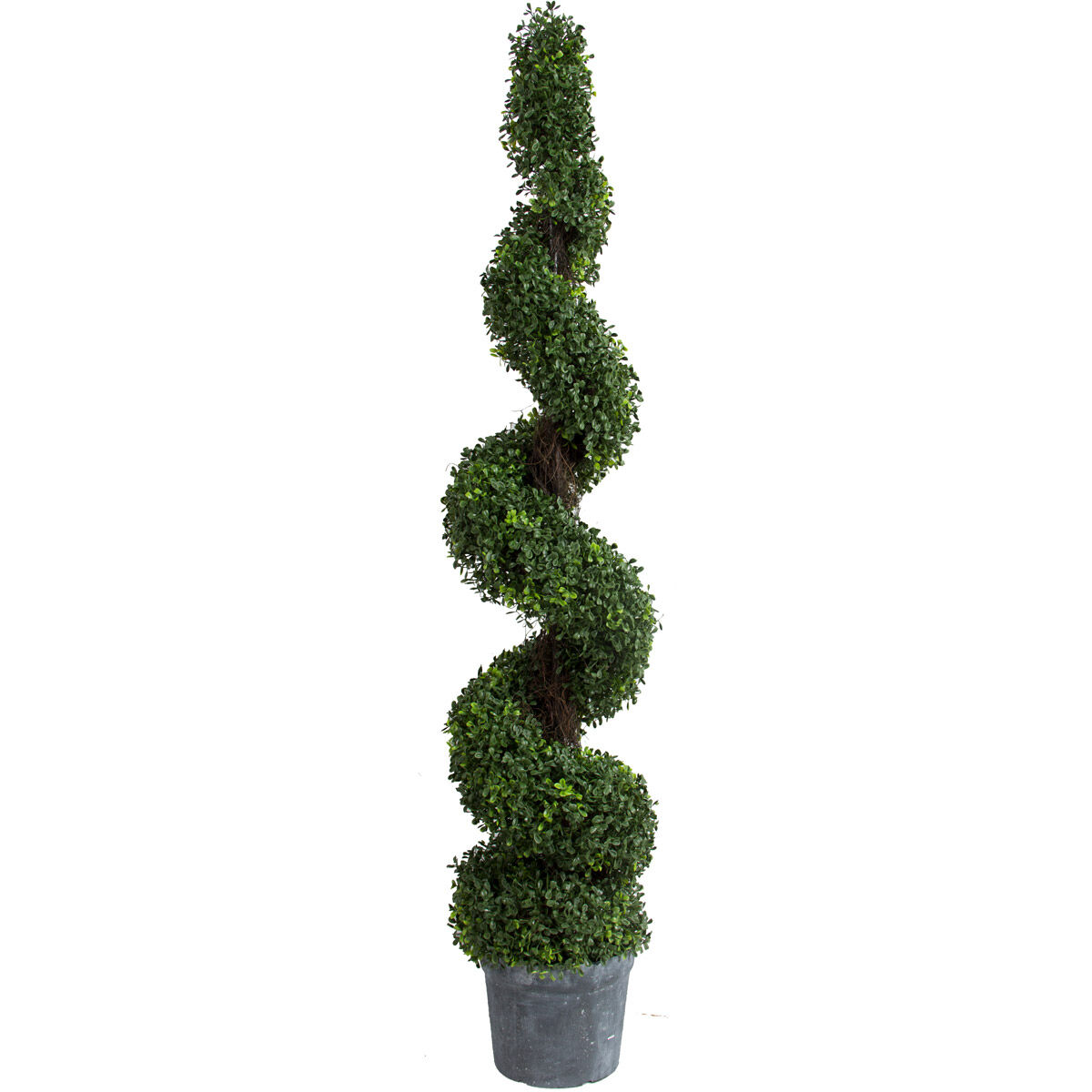 Spiral Boxwood Green/Weathered Grey Faux Plant