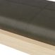 Raul 19 inch Graphite Bench