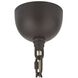 Hobbes 1 Light 13.5 inch Bronze Pendant Ceiling Light