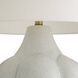 Fig 26.5 inch 150.00 watt Icy Morn and Polished Nickel Lamp Portable Light