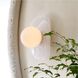 Freeney Sconce Wall Light