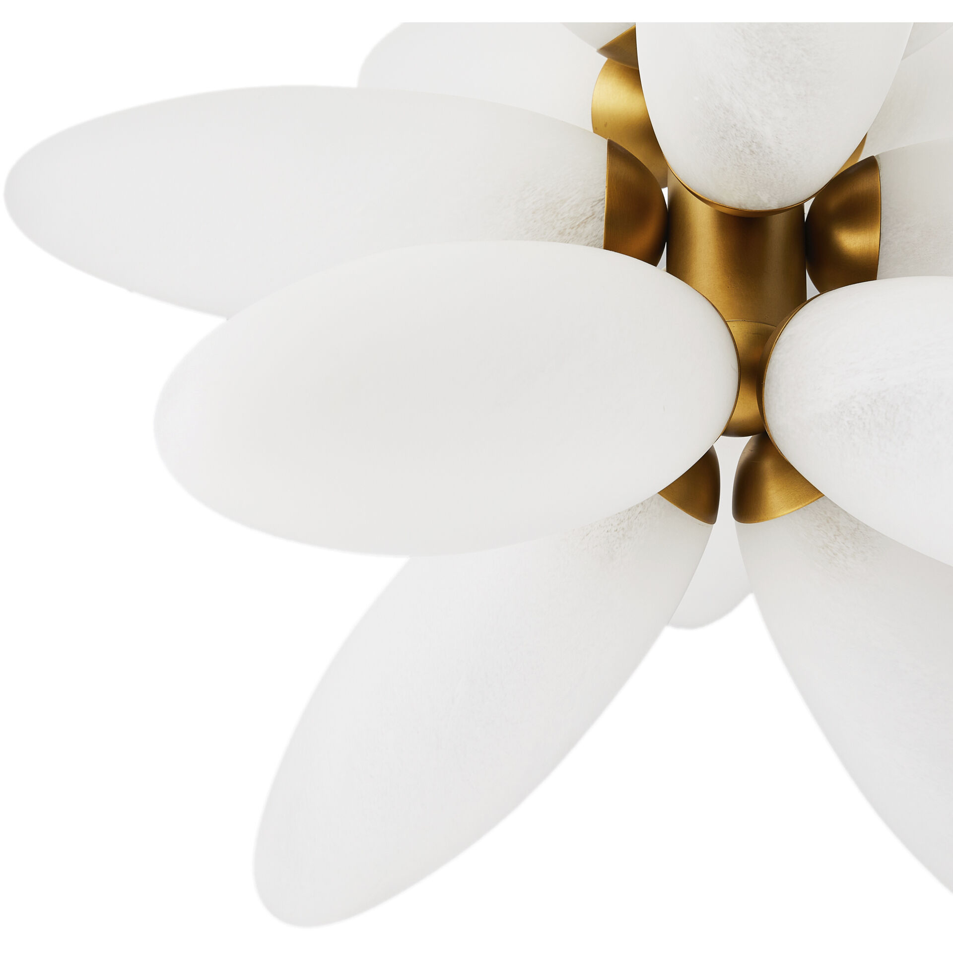 Starling 12 Light 27 inch Brushed Brass Chandelier Ceiling Light