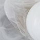 Freeney Sconce Wall Light