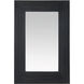 Coulter 60 X 40 inch Ebony Mirror