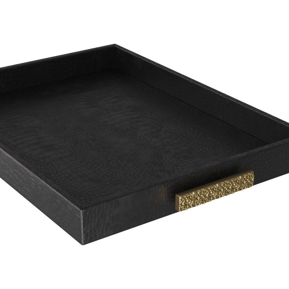 Gavin 24 X 2.5 inch Black Tray