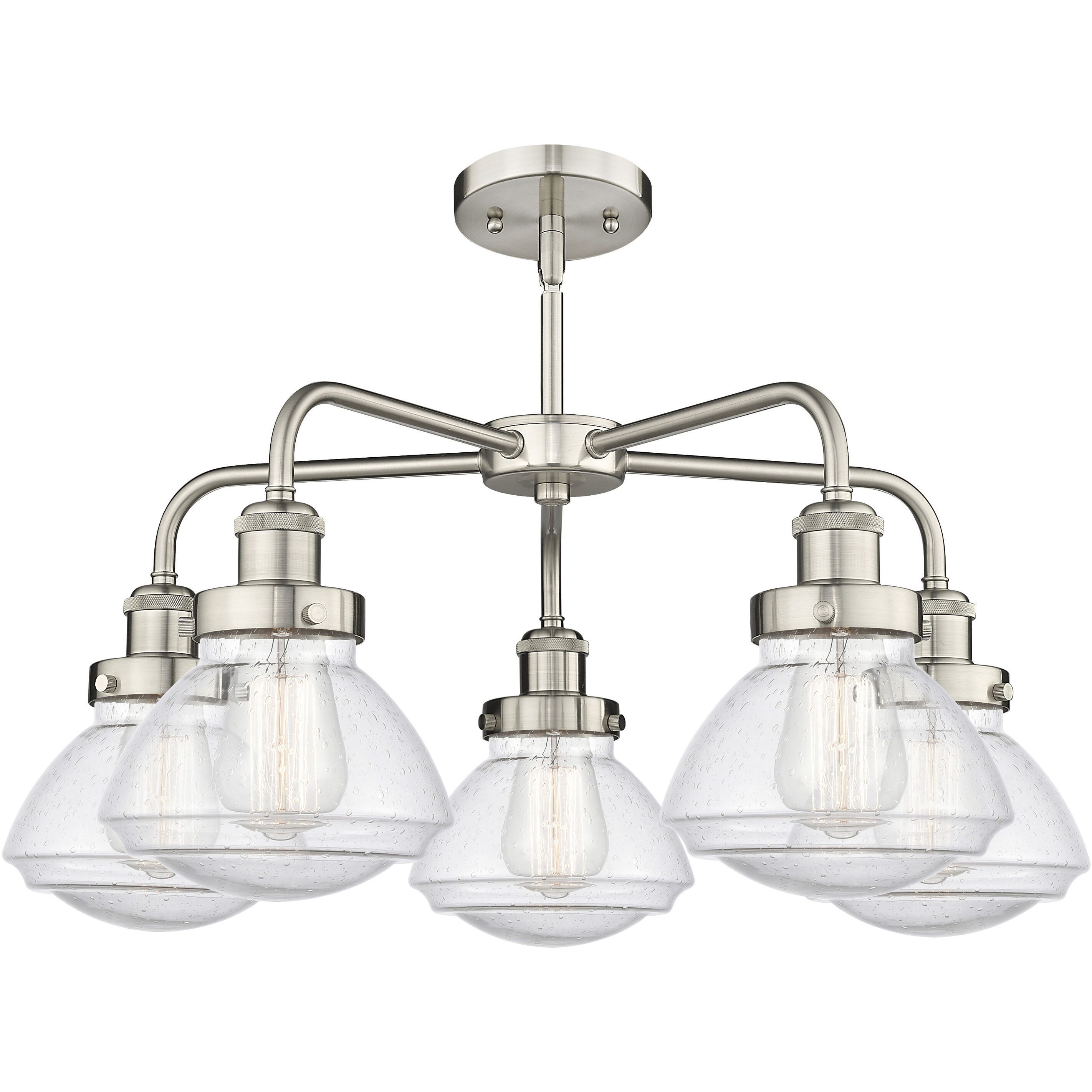 Olean 5 Light 24.50 inch Chandelier