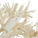 Fernanda 8 Light 38 inch Ivory and White Chandelier Ceiling Light