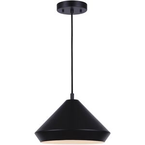 Byck 13 inch Black Pendant Lighting Ceiling Light