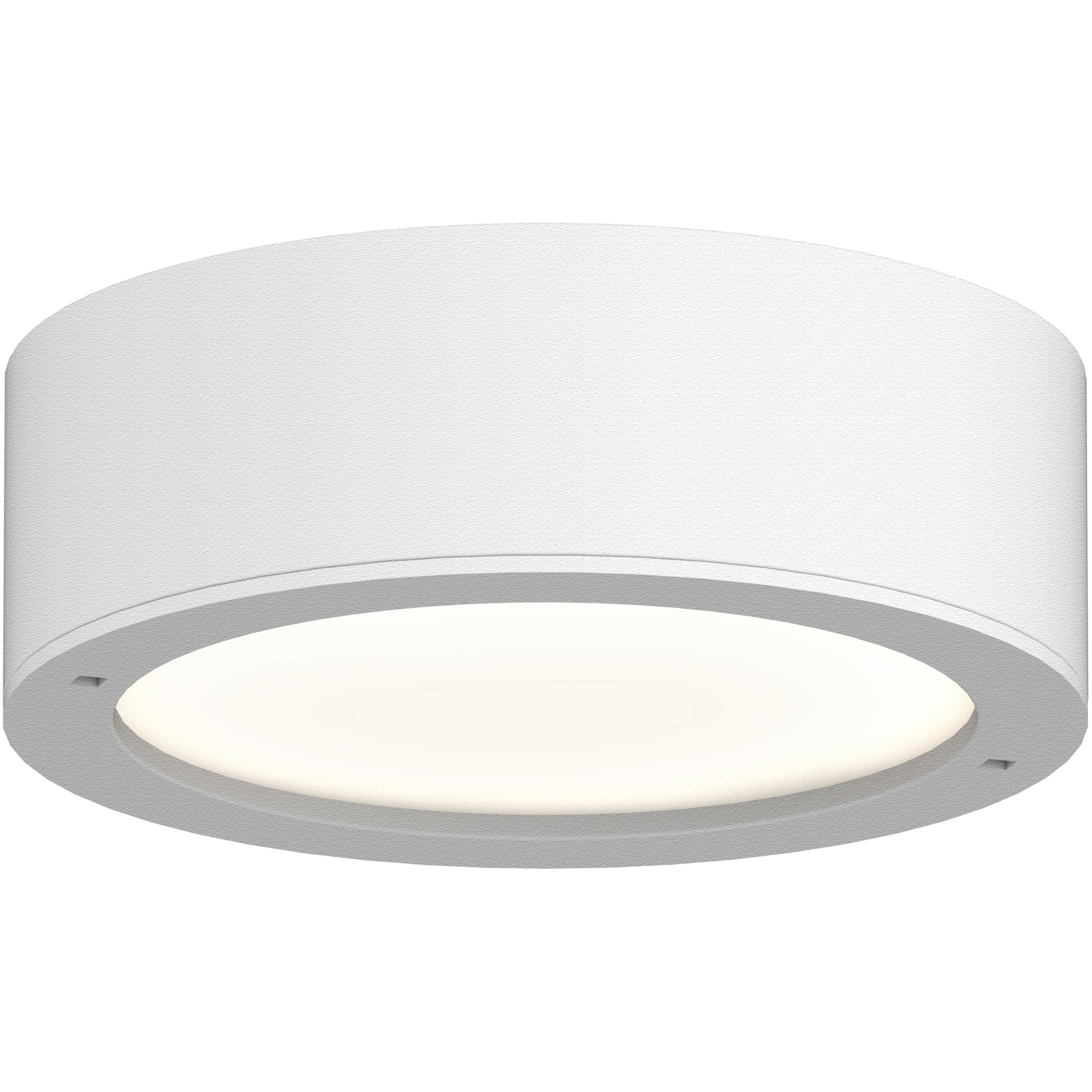 Reals 1 Light 5.00 inch Flush Mount