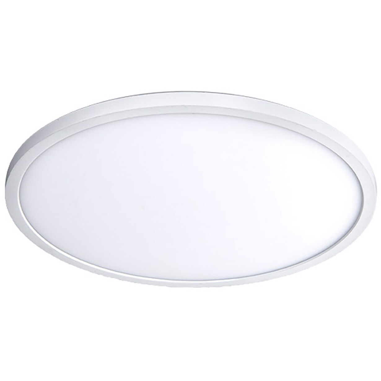 Round 1 Light 11.00 inch Flush Mount